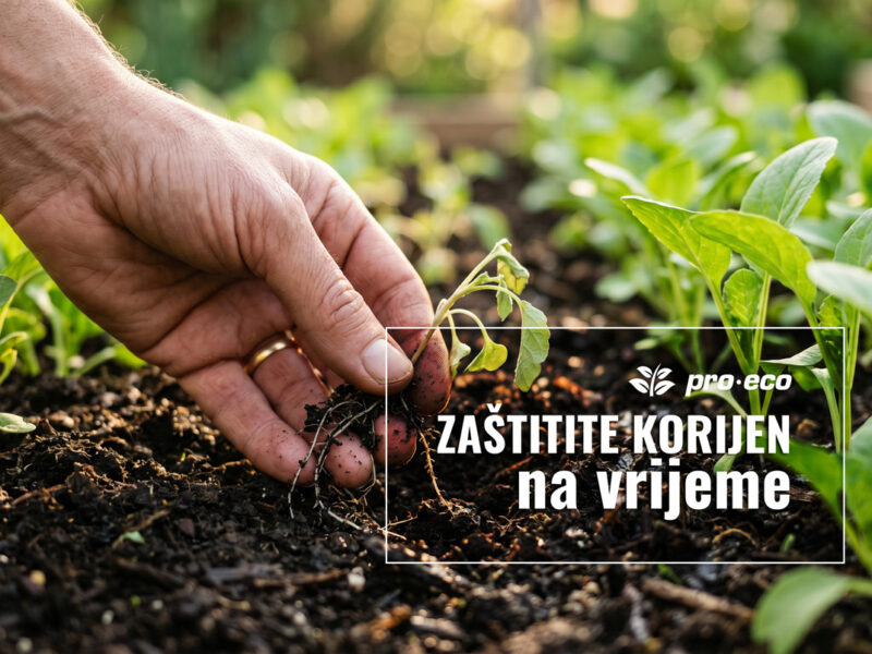 Zemljisni_stetnici_blog