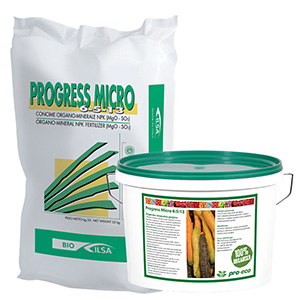 progres-micro